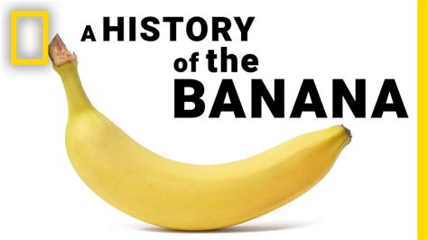 where did bananas originate from - early history of bananas.